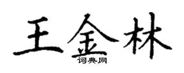 丁謙王金林楷書個性簽名怎么寫