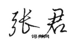 駱恆光張君行書個性簽名怎么寫
