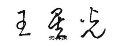 駱恆光王星光草書個性簽名怎么寫