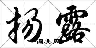 胡問遂揚露行書怎么寫