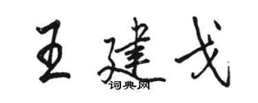 駱恆光王建戈行書個性簽名怎么寫