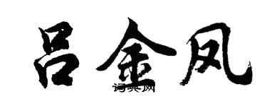 胡問遂呂金鳳行書個性簽名怎么寫