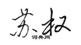 駱恆光蘇權行書個性簽名怎么寫