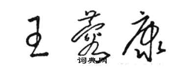 駱恆光王蓉康草書個性簽名怎么寫