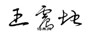 曾慶福王震地草書個性簽名怎么寫