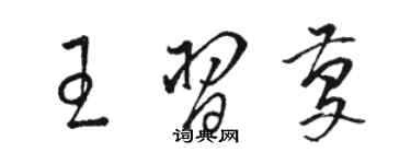 駱恆光王習慶草書個性簽名怎么寫