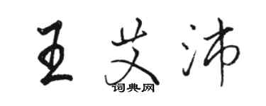 駱恆光王艾沛行書個性簽名怎么寫