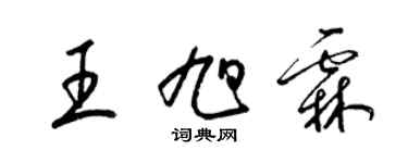 梁錦英王旭霖草書個性簽名怎么寫