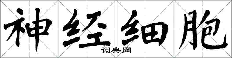 翁闓運神經細胞楷書怎么寫