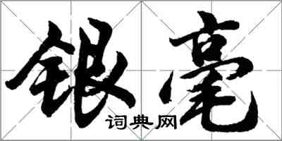 胡問遂銀毫行書怎么寫