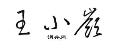 駱恆光王小嶺草書個性簽名怎么寫