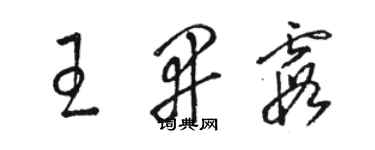 駱恆光王開霞草書個性簽名怎么寫