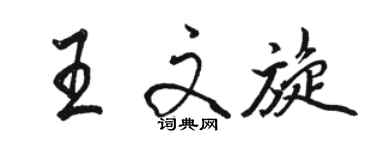 駱恆光王文旋行書個性簽名怎么寫