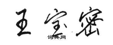 駱恆光王寶密行書個性簽名怎么寫