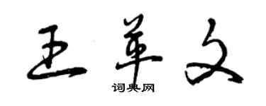 曾慶福王革文草書個性簽名怎么寫