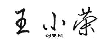駱恆光王小榮行書個性簽名怎么寫