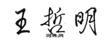 駱恆光王哲明行書個性簽名怎么寫