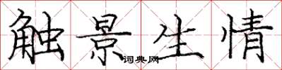 龐中華觸景生情楷書怎么寫