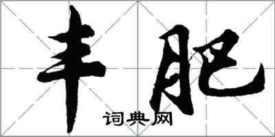 胡問遂豐肥行書怎么寫