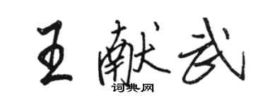 駱恆光王獻武行書個性簽名怎么寫