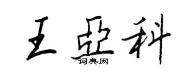 王正良王亞科行書個性簽名怎么寫