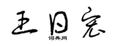 曾慶福王日宏草書個性簽名怎么寫