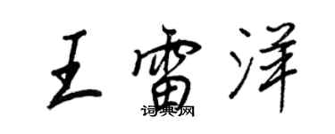 王正良王雷洋行書個性簽名怎么寫