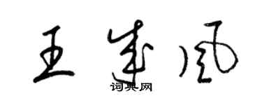 梁錦英王成風草書個性簽名怎么寫