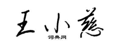 王正良王小慈行書個性簽名怎么寫
