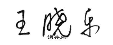 駱恆光王曉樂草書個性簽名怎么寫