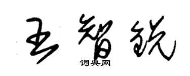 朱錫榮王智銳草書個性簽名怎么寫