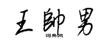 王正良王帥男行書個性簽名怎么寫