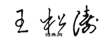 駱恆光王松濤草書個性簽名怎么寫