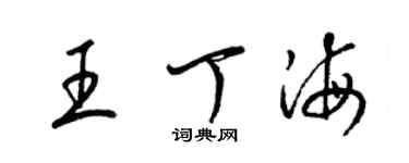 梁錦英王丁海草書個性簽名怎么寫