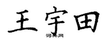 丁謙王宇田楷書個性簽名怎么寫