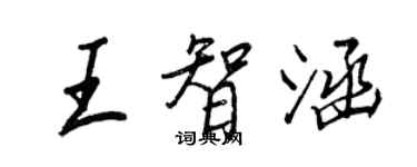 王正良王智涵行書個性簽名怎么寫