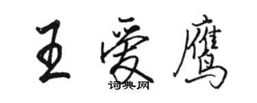 駱恆光王愛鷹行書個性簽名怎么寫