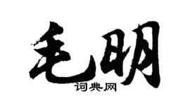 胡問遂毛明行書個性簽名怎么寫