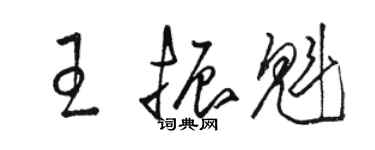 駱恆光王振魁草書個性簽名怎么寫