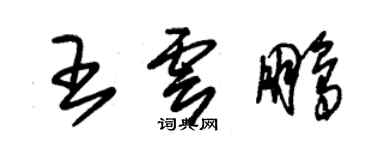 朱錫榮王雲鵬草書個性簽名怎么寫
