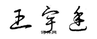 曾慶福王宇廷草書個性簽名怎么寫