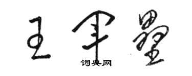 駱恆光王軍壘草書個性簽名怎么寫