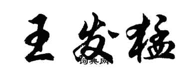 胡問遂王發猛行書個性簽名怎么寫