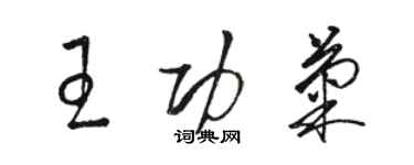 駱恆光王功菊草書個性簽名怎么寫