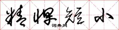 朱錫榮精悍短小草書怎么寫