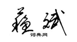 梁錦英蘇斌草書個性簽名怎么寫