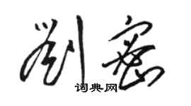 駱恆光劉密草書個性簽名怎么寫