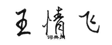 駱恆光王情飛行書個性簽名怎么寫