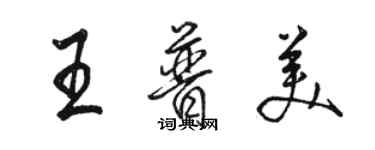 駱恆光王普美行書個性簽名怎么寫