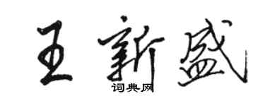 駱恆光王新盛行書個性簽名怎么寫